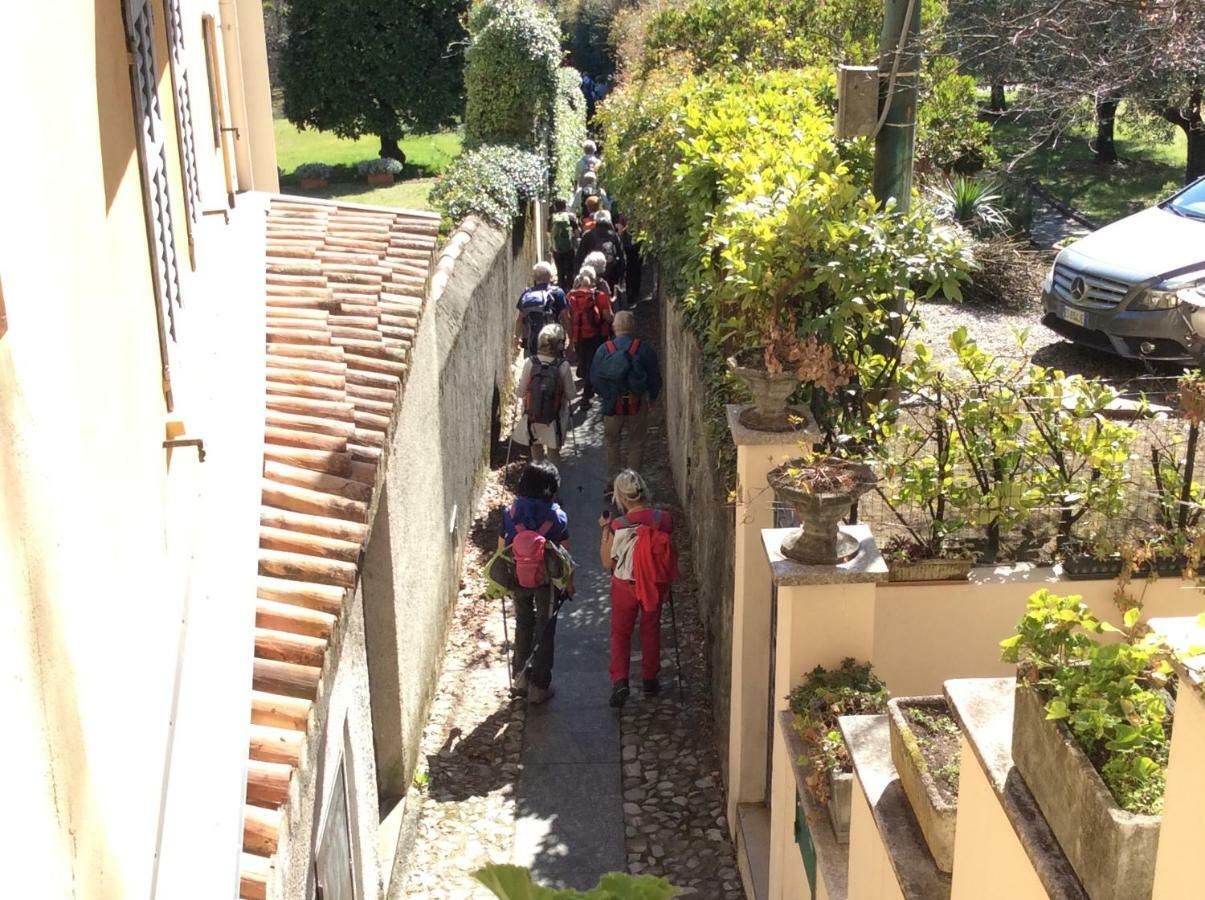 Il Nido Nella Quiete Apartment Tremezzo Exterior foto